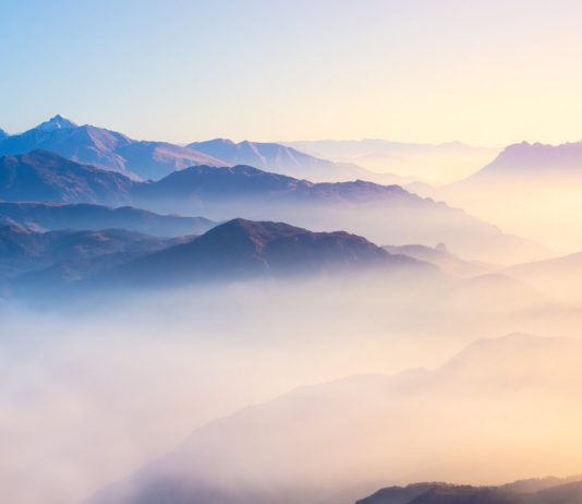 Have No Worry, Bitcoin Cost to Resume Uptrend After Pullback