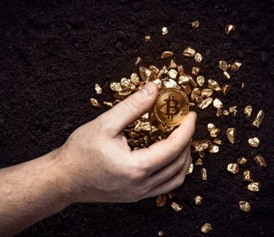 Survey by UFC’s Askren: Bulk Would HODL Bitcoin Over Gold Survey by UFC’s Askren: Bulk Would HODL Bitcoin Over Gold