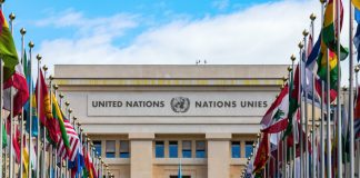 A United Nations Company Has Actually Released a Crypto Fund