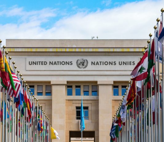 A United Nations Company Has Actually Released a Crypto Fund