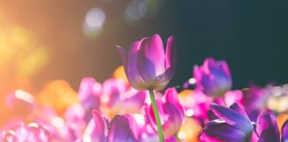 If $7,700 Holds, Bitcoin Rate Might Quickly Rise by 20%