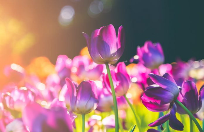 If $7,700 Holds, Bitcoin Rate Might Quickly Rise by 20%