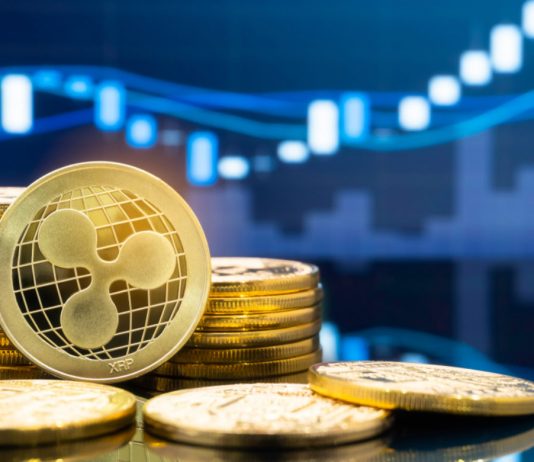 XRP Rises as Crypto Markets Express Bearish Volatility XRP Rises as Crypto Markets Express Bearish Volatility