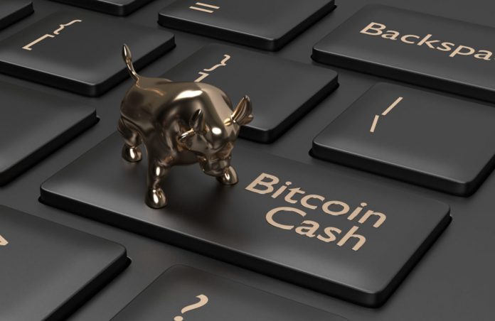 Bitcoin Money (BCH) Outperforms Massive Brother on Bitmain Increase