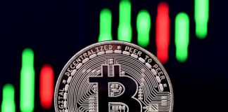 Bitcoin'’s record rate rise of 2017 was brought on by a bachelor, research study claims