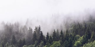 Square’s Money App Offered $150 M Worth of Bitcoin in Q3: 250% YoY Development