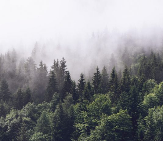 Square’s Money App Offered $150 M Worth of Bitcoin in Q3: 250% YoY Development