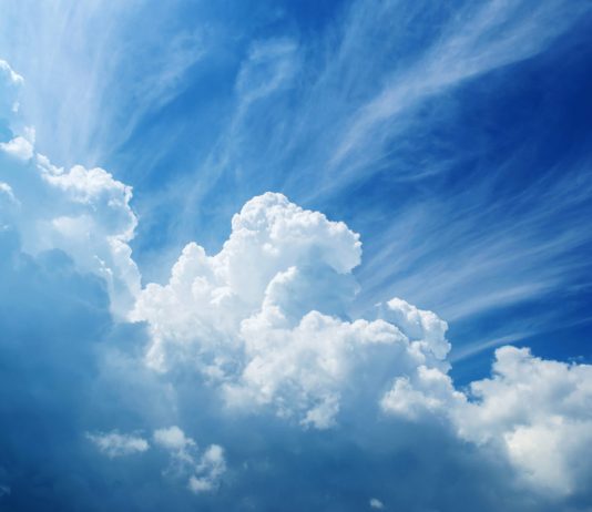 Bull Run Intact: Long-Term Bitcoin Rate Indication Stays Long