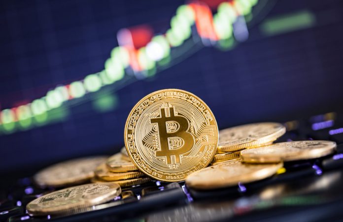 Bitcoin Primed for a Relocate to $8,000, however Bear Pattern Isn’t Over Yet