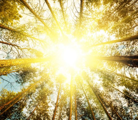 Crypto Tidbits: Bakkt’s Bitcoin Futures Rise, UpBit Hacked for $50 Million in Ethereum, United States Arrests Blockchain Scientist