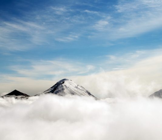 France Announces Digital Currency Endeavor: Crypto Bulls Holler