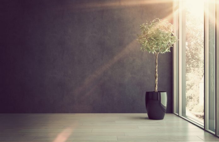 Scientist: Bitcoin lives and Well, Cost Still in Macro Uptrend