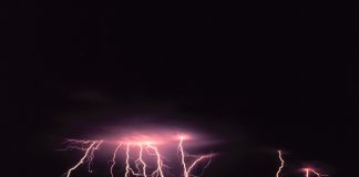 Bitcoin Scaling Layer Lightning Network “Functions Like a Beauty”, States Bitfinex CTO