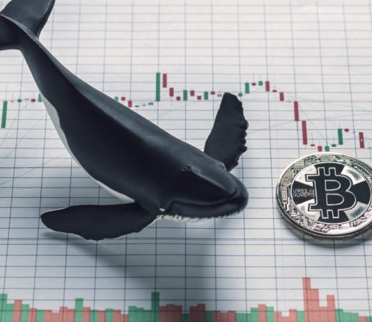 Bitcoin Longs Near All-Time High, TD9 Reaches Offer Signal