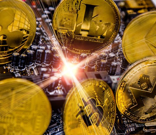 Litecoin Lights Course To Crypto Market Bottom, Halving Absolutely Nothing however Buzz