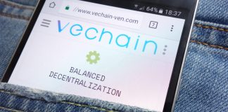 VeChain Buyback Crypto Wallet Hacked of 1.1 Billion VETERINARIAN