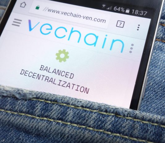 VeChain Buyback Crypto Wallet Hacked of 1.1 Billion VETERINARIAN