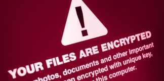 Crypto-Demanding Cybercriminals Increase Ransomware Hazard With Data Direct Exposure