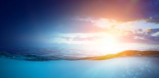 Why Bitcoin’s 2020 Cutting In Half Will Catalyze “FOMO” and “Big Bull Run”