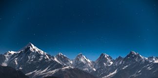 Bitcoin Still Overtook Trump, VISA, PayPal, and Libra on Google Browse in 2019