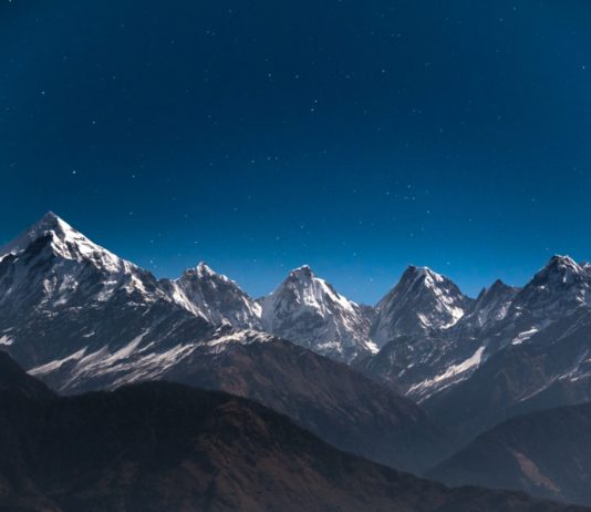 Bitcoin Still Overtook Trump, VISA, PayPal, and Libra on Google Browse in 2019