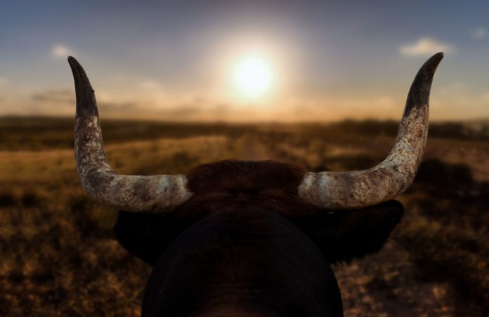 Why Bitcoin Belief Has Actually Turned Bullish as BTC Rate Taps 2 Week High Why Bitcoin Belief Has Actually Turned Bullish as BTC Rate Taps 2 Week High