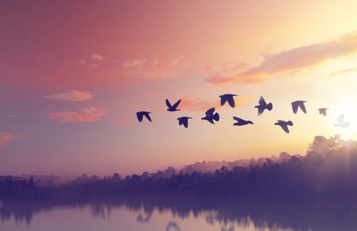 When Bitcoin Breaks $7,650, Cost Will “Fly” Greater; Here’s Why