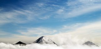 Why the Bitcoin’s Bearish MACD Cross May Not Plunge Cost