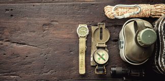 Altcoin Armageddon: Which Crypto Assets Will Endure Another Year