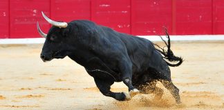 Ethereum Bulls Might Press Rate to $160, However Macro Outlook is Bearish; Here’s Why