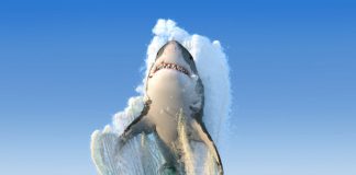 XRP Spikes 10.5% in Most Significant Single Day Rise in 8 Months: What Activated it?