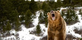 Bitcoin Simply Got Turned Down at $8,400, And It Suggests a Huge Fall Ahead