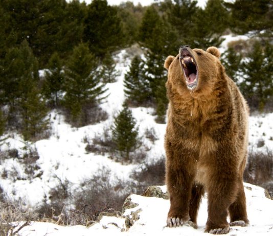 Bitcoin Simply Got Turned Down at $8,400, And It Suggests a Huge Fall Ahead Bitcoin Simply Got Turned Down at $8,400, And It Suggests a Huge Fall Ahead