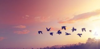 3 Reasons Bitcoin’s Rally to $8,500 Might Quickly End