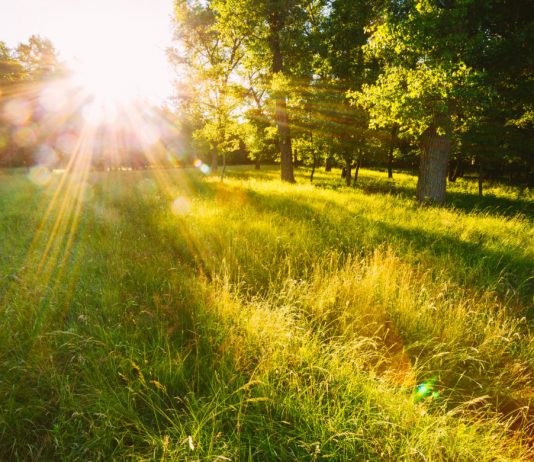 Trader Who Called Bitcoin’s 50% Decrease States $10,000 Is Next: Here’s Why