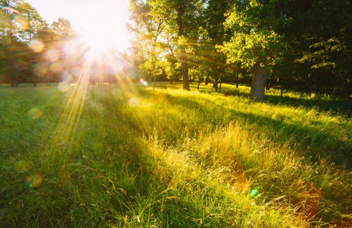 Trader Who Called Bitcoin’s 50% Decrease States $10,000 Is Next: Here’s Why