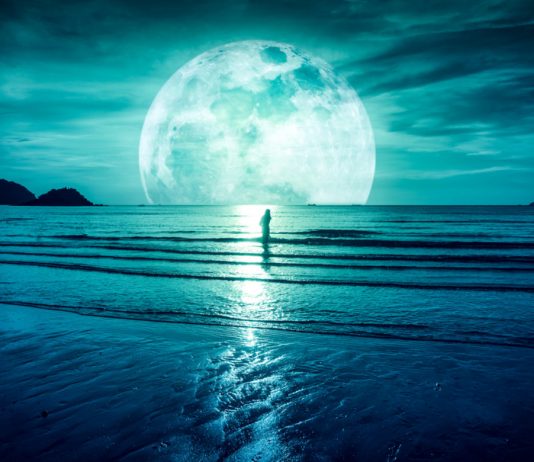 A $50,000 Bitcoin Rate; How Likely is a 13- Digit Market Cap?