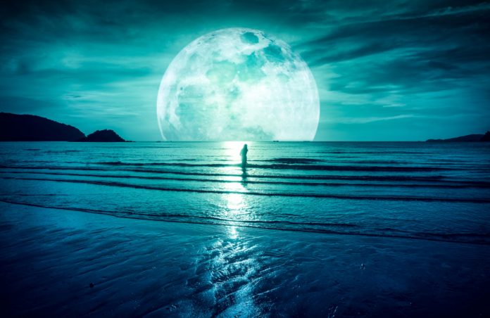 A $50,000 Bitcoin Rate; How Likely is a 13- Digit Market Cap?