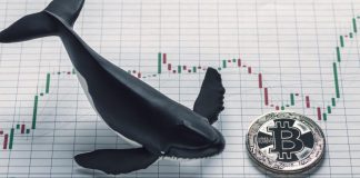 Bitcoin Bears Are “Mentally Damaged” as Whales Stack Huge Buy Orders Bitcoin Bears Are “Mentally Damaged” as Whales Stack Huge Buy Orders