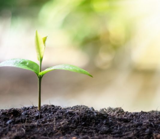 Has The Crypto Market Bottomed After Bitcoin’s 50% Collapse?