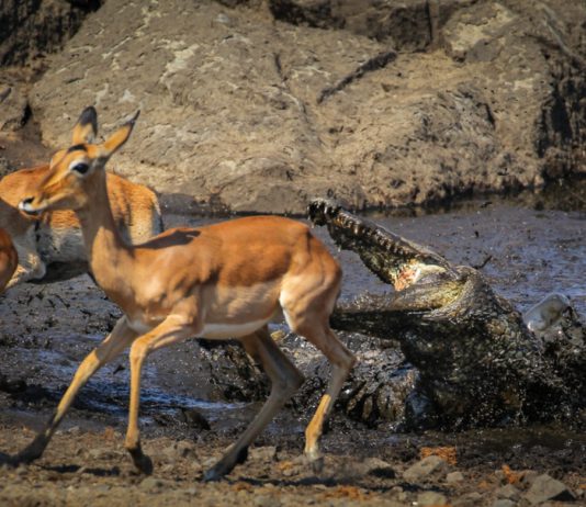 Worry of Mining ‘Death Spiral’ Blocks Course to $100,000 Bitcoin