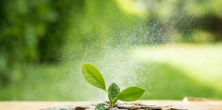 Could Ethereum Struck $1 Trillion? Expert States Over 1,000% Rally Possible