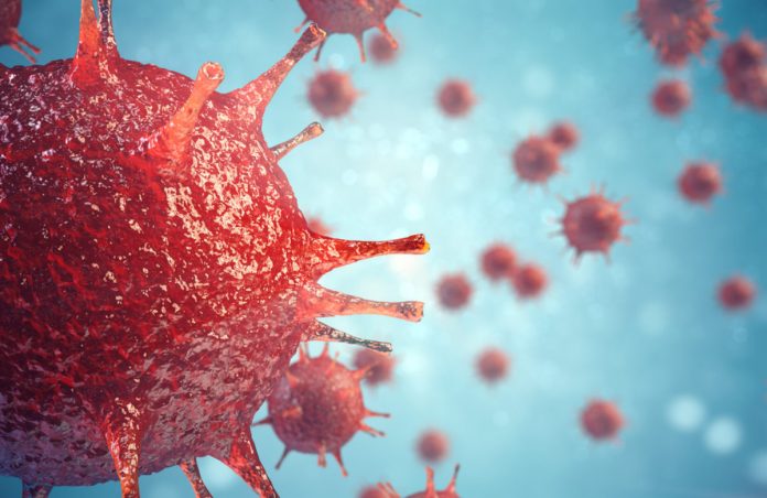 No, Bitcoin Gains Are Not To Worries Of Coronavirus Break Out