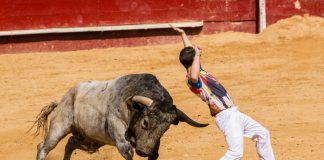 BitMEX Open Curiosity Hitting $1B May Be Bullish for Bitcoin This Time