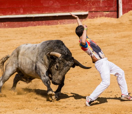 BitMEX Open Curiosity Hitting $1B May Be Bullish for Bitcoin This Time