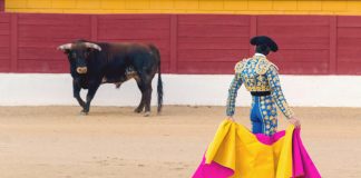 10 Elements Validate a Brand-new Crypto Booming Market Has Actually Formally Started 10 Elements Validate a Brand-new Crypto Booming Market Has Actually Formally Started