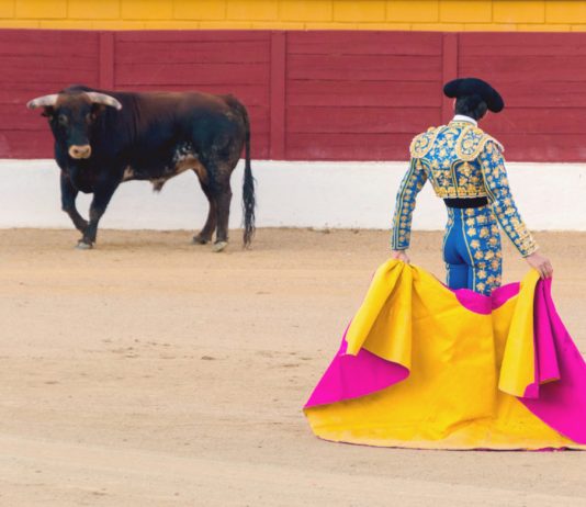 10 Elements Validate a Brand-new Crypto Booming Market Has Actually Formally Started 10 Elements Validate a Brand-new Crypto Booming Market Has Actually Formally Started