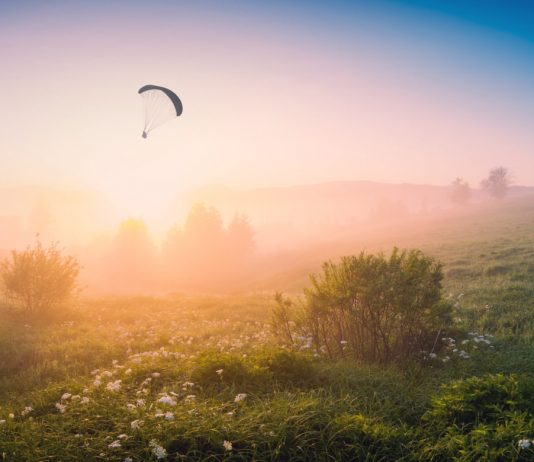 Leading Cryptocurrency Tezos Sets New All-Time High: Are More Gains Imminent?