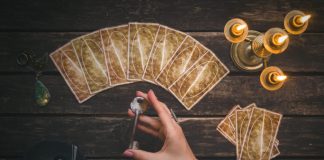 Satoshi’s Vision for Bitcoin Wasn’t Payments, States Kraken Officer