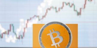 Bitcoin Money Strikes Seven-Month High as Altcoins Explode in Tandem